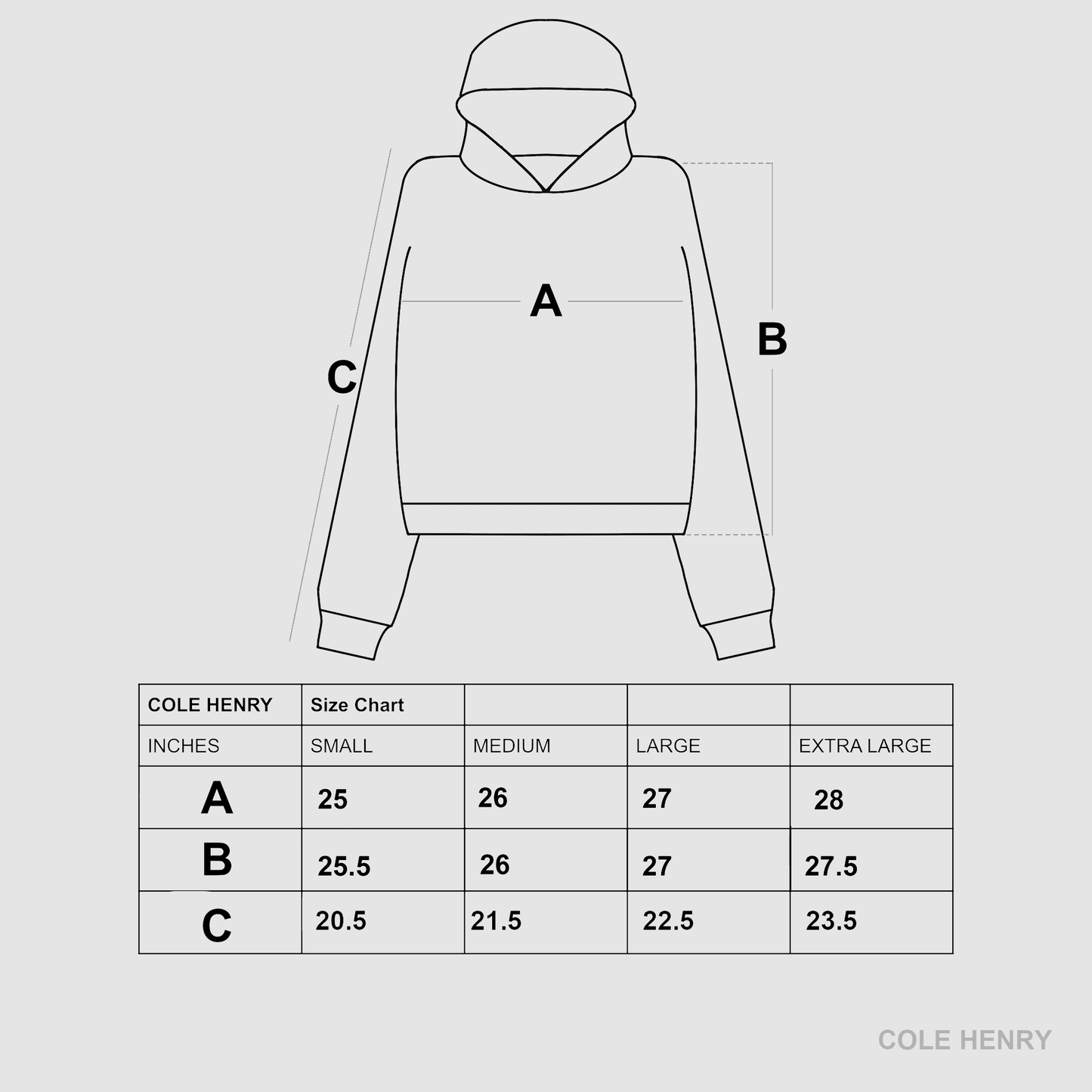 Exhibit A Hoodie Washed Black – Cole Henry